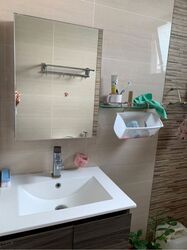 Parc Oasis (D22), Condominium #580052831